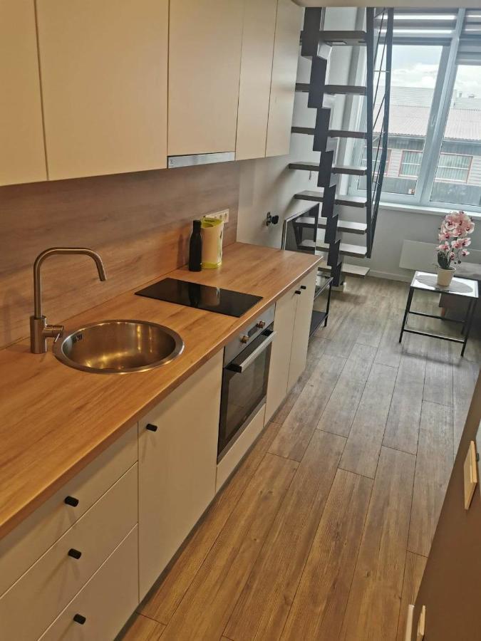 Lofto Tipo 2 Kambariu Butas Appartement Kaunas Buitenkant foto