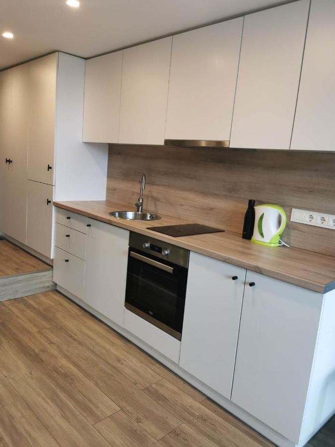 Lofto Tipo 2 Kambariu Butas Appartement Kaunas Buitenkant foto